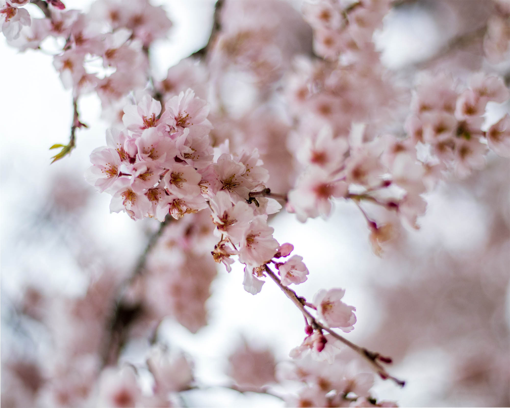 Did you miss the spring cleaning in Evolio?